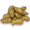 [07-000967] Aardappelpootgoed RATTE klasse B 25/32 - per kg