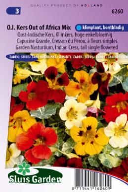 Tropaeolum majus OOST-INDISCHE KERS OUT OF AFRICA mix - ca 32 z