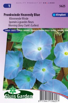 Ipomoea tricolor of klimmende winde HEAVENLY BLUE - ca 75 z