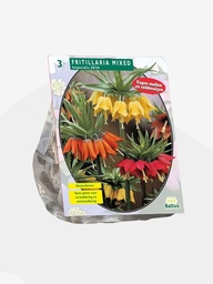 [09-300670] Fritillaria Imperialis MIX - 3 st