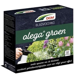 [11-007148] DCM bladvoeding OLEGA GROEN - 2 x 250 ml