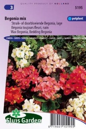 [01-005195] Begonia semperflorens mix - ca 800 z