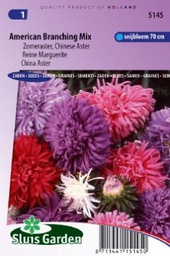 [01-005145] Aster chinensis of zomeraster AMERICAN BRANCHING mix - 270 z