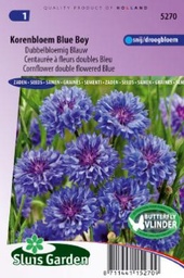 [01-005270] Centaurea cyanus BLUE BOY - ca 220 z