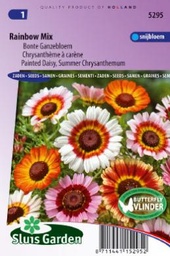 [01-005295] Chrysanthemum carinatum Regenboogmengsel - ca 250 z