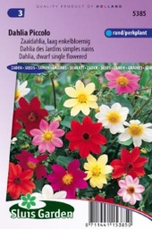 [01-005385] Dahlia variabilis PICCOLO mix - ca 90 z