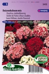 [01-005415] Dianthus barbatus of duizendschoon DUBBELBLOEMIG GEMENGD - ca 570 z