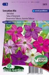 [01-005875] Nicotiana alata of siertabak SENSATION mix - ca 950 z