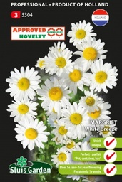 [01-005304] Chrysanthemum pallens of margriet WHITE BREEZE - ca 100 z