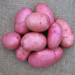 [07-000946] Plants de pomme de terre SARPO MIRA Classe A 28/35 - par kg