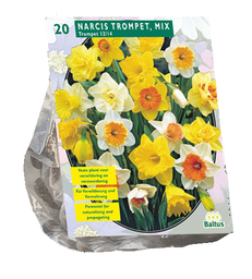 [09-301341] Narcis TROMPET MIX - 20 st