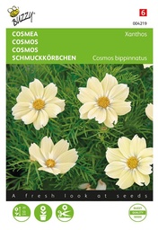 [02-004219] COSMEA Xanthos - Cosmos bippinnatus - ca. 10 z.
