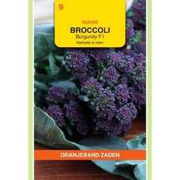 [02-660406] #BROCCOLI Burgundy F1 - ca. 20 z.