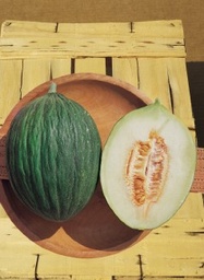 [25-002324] Italiaanse meloen NERITO - ca. 8 g